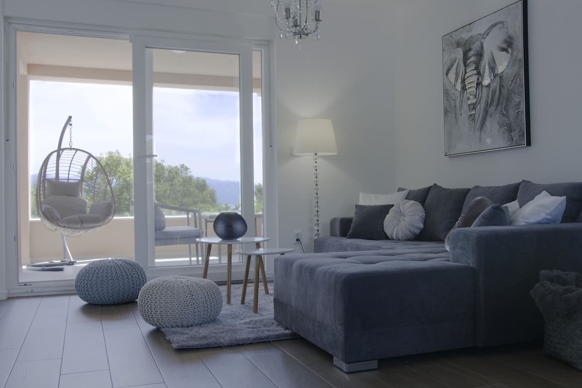 Deluxe Apartment | Living area