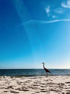 Vlak bij het strand