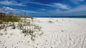 Une vaste plage de sable, avec une végétation clairsemée et un ciel bleu dégagé.