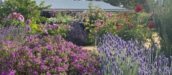 River Gardens Axedale Pet Friendly B&B Farm Stay - Self Contained Unit