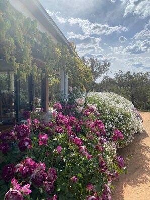 Detalle del exterior