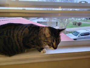 Blick von der Unterkunft