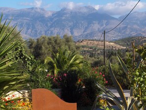 Property grounds - Villa Ilona - The artist's house with private pool and large garden (Kamilari)