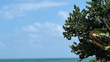 Ngoại thất