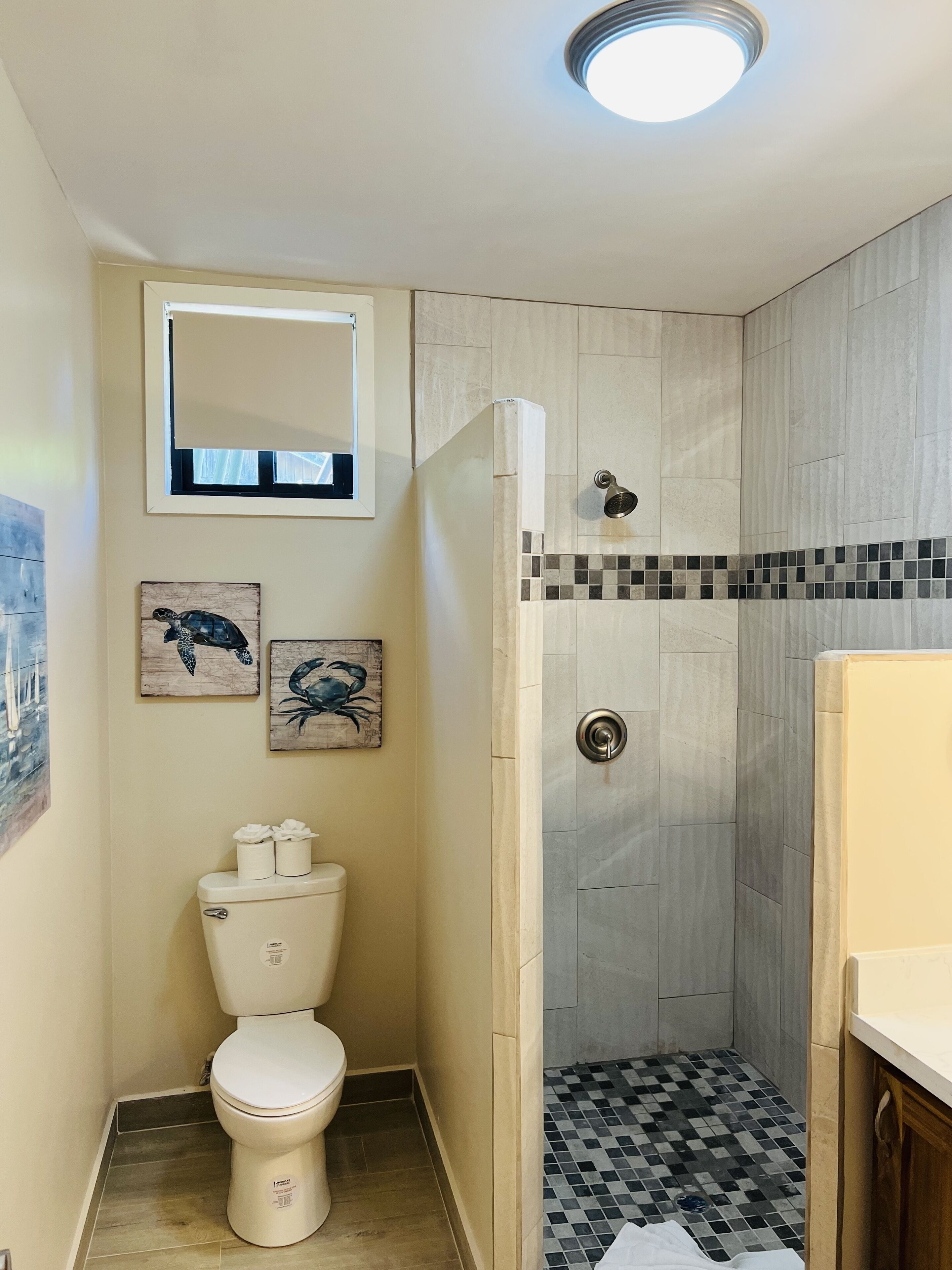 Un bany amb vàter, dutxa i un lavabo. Hi ha dues obres d'art penjades a la paret que representen tortugues.