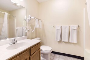 Bathroom features a sink, toilet, and vanity with a mirror.