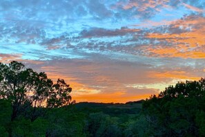 Un paisaje con árboles y un cielo al atardecer.
