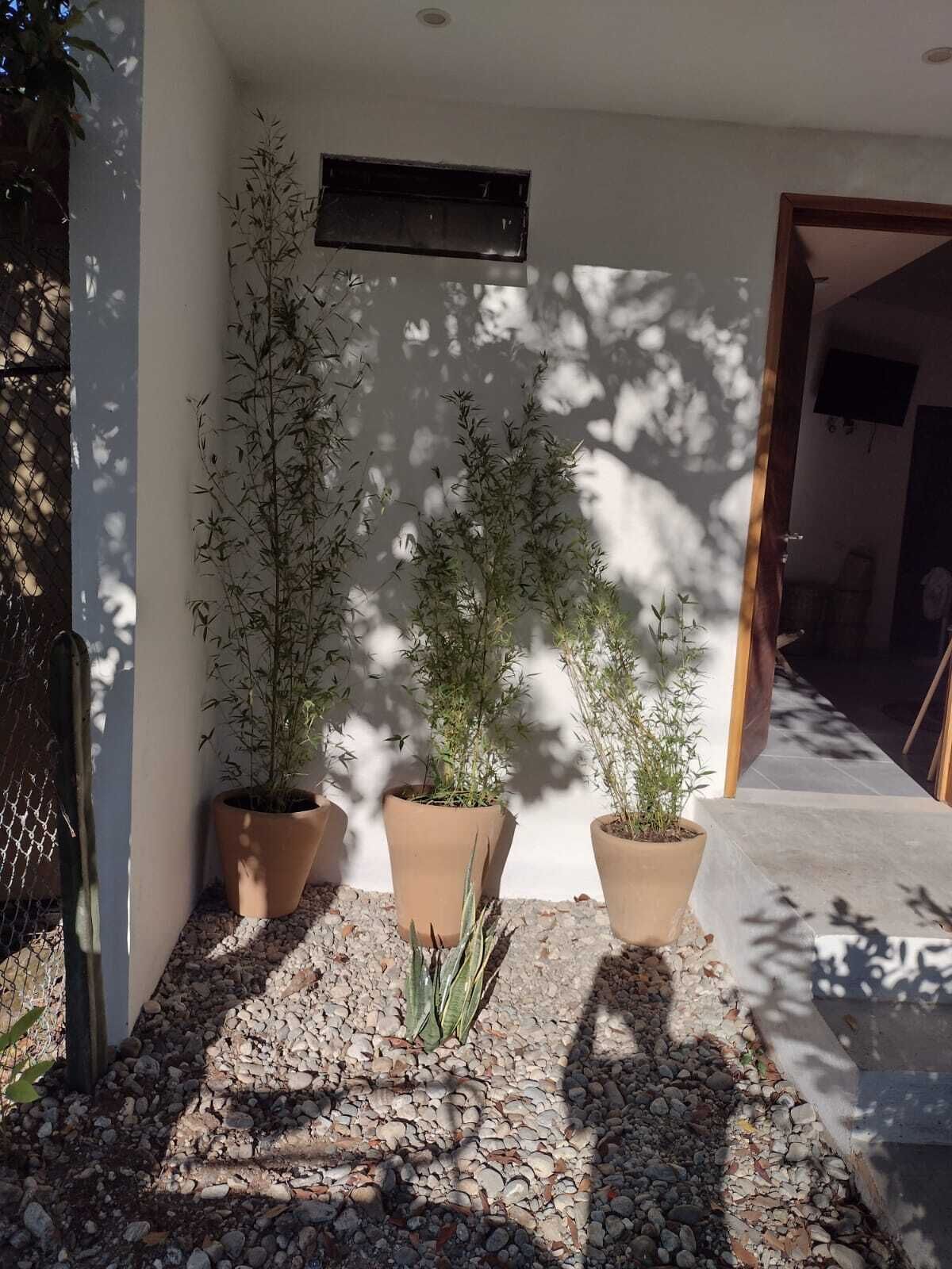 Detalle del exterior