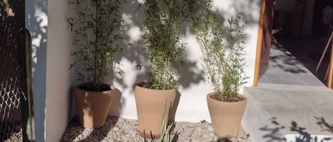 Detalle del exterior