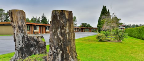 Un edificio con un gran tocón de árbol en primer plano, un césped cuidado y un cielo despejado.