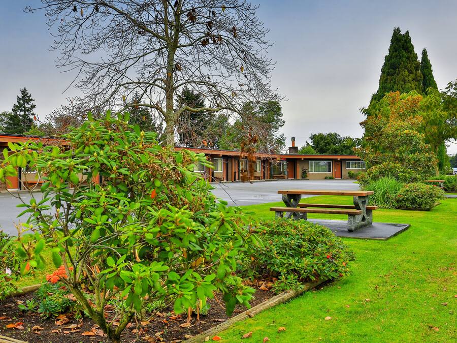 Un patio con una mesa de picnic, un árbol alto y un edificio de fachada de ladrillo.