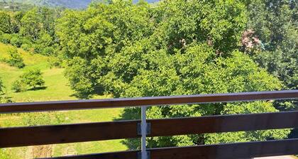 Guesthouse Žafran- Two Bedroom Apartment