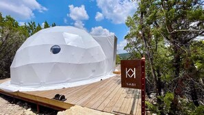 A geodesic dome structure with a wooden deck in front, surrounded by trees and a clear sky.