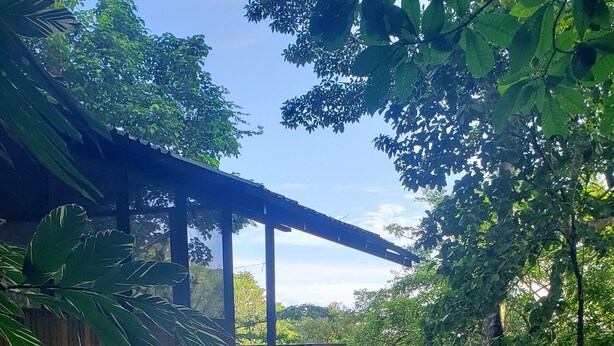 A wooden staircase leading to a covered area, surrounded by lush greenery and a gravel path. - Pure Nature, 3 kilometers away from Corcovado Park, La Leona Station (Playa Carate, Puntarenas)