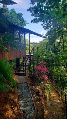 Pure Nature, 3 kilometers away from Corcovado Park, La Leona Station