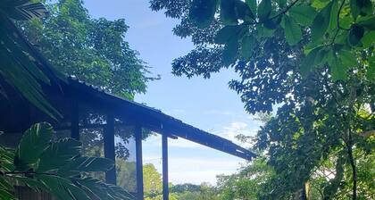 Pure Nature, 3 kilometers away from Corcovado Park, La Leona Station