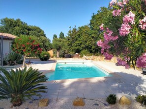 A swimming pool surrounded by a garden with various plants and a hammock. - Luxury villa with a SWIMMING POOL, air conditioning, near the LAKE and the SEA (Montauroux)