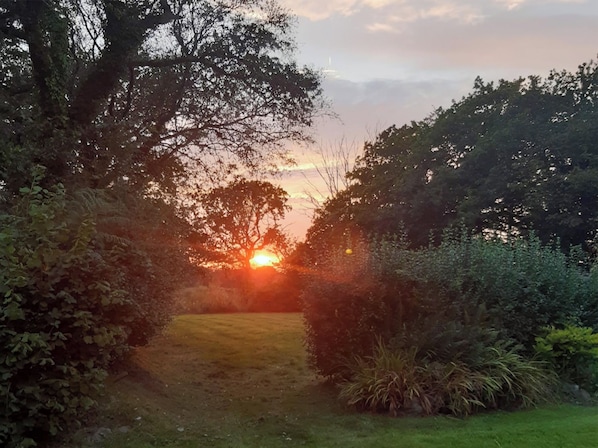 A pathway leading through a garden with trees and shrubs, with the sun setting in the background.
