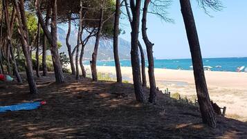 Ubicación cercana a la playa y tumbonas