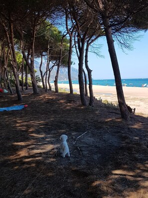 Plage à proximité, chaises longues