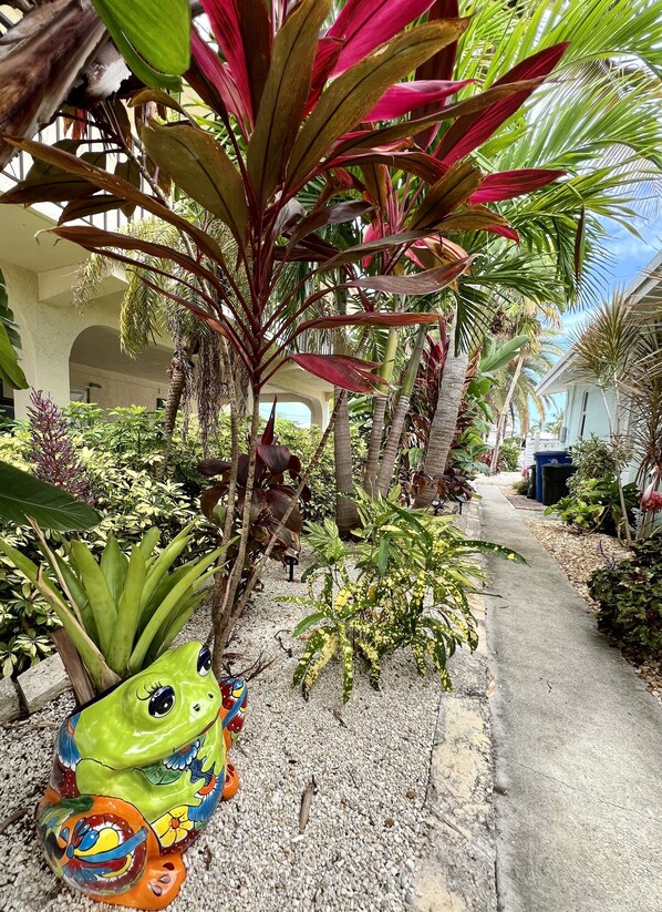 Un sentier bordé de différentes plantes tropicales et orné d’une statue de grenouille aux couleurs vives.