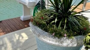 A waterfront property with a wooden deck, a large planter with tropical plants, and a view of the marina with boats.