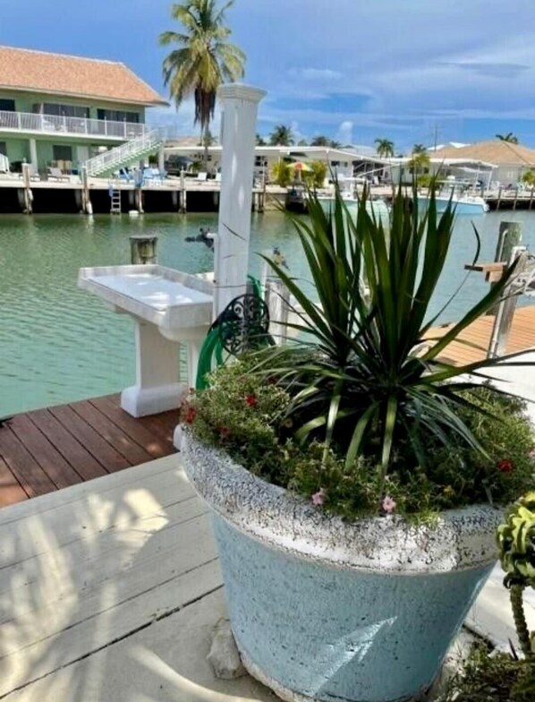 Property grounds - RITA'S PARADISE 37.5' DOCK-ICE MAKER-Cabana Club-TIKI HUT-Screen Porch-Bait Frez (Key Colony Beach)