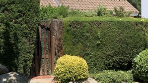 A house with a tiled roof, a balcony, and a well-maintained garden with a hedge and a small bush. - Apartment in guarded residence overlooking swimming pool (Platja d'Aro)
