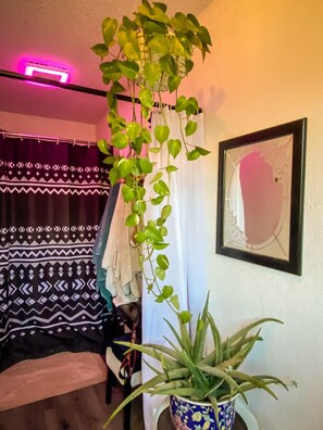 Interior - The Roadrunner: Experience Arizona Agritourism (Kingman)