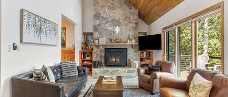 Smart TV, fireplace, books