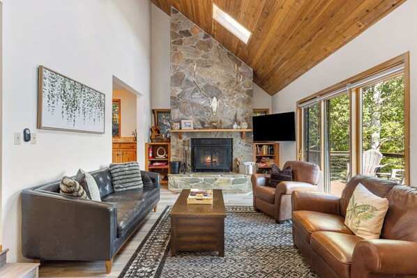 Smart TV, fireplace, books