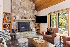Smart TV, fireplace, books