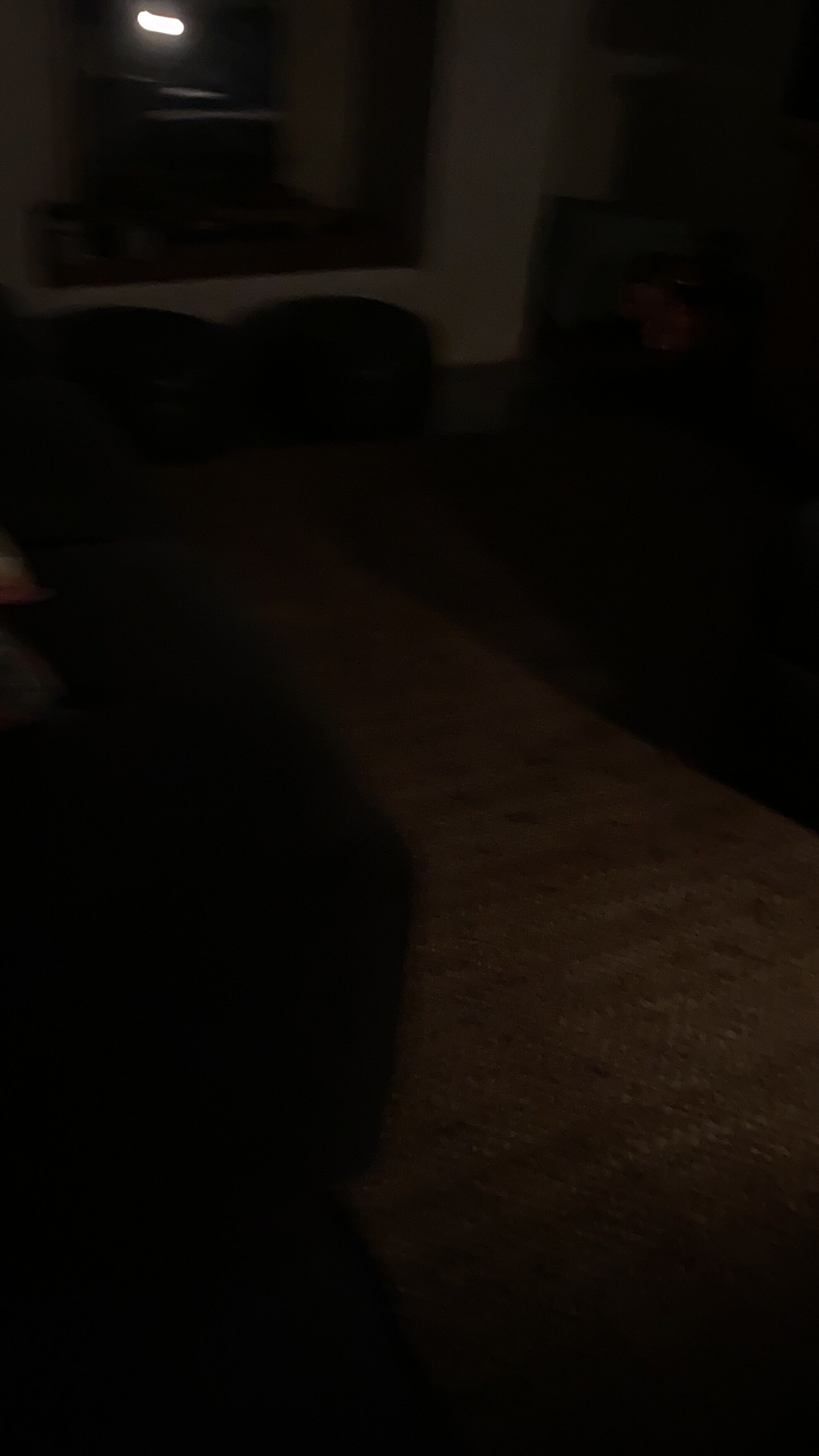 Beautiful Hampton Inspired Coastal Home