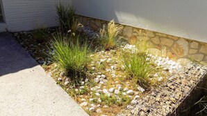 Un jardín ajardinado con rocas y hierbas delante de un edificio blanco.