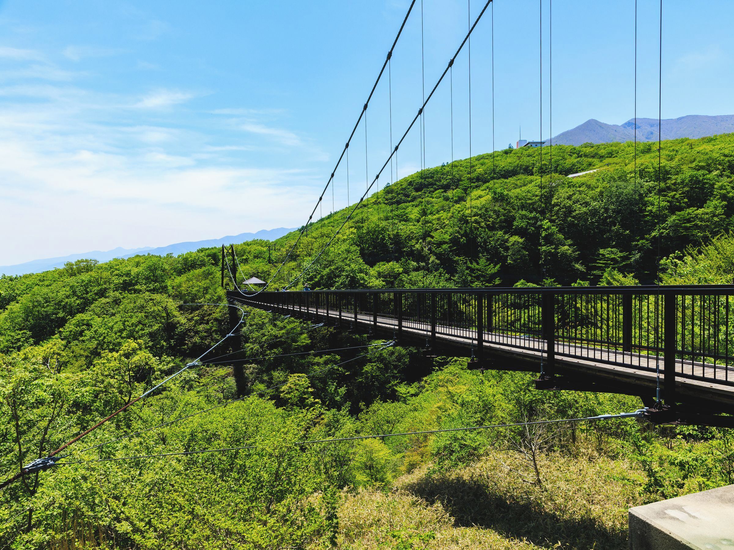 A suspension bridge over a lush green valley with a clear sky.