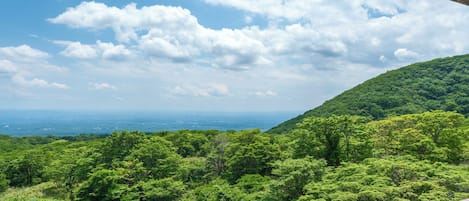 A lush green landscape with a clear sky and distant view.