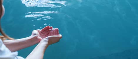 A person holding a clear glass of water over a pool.