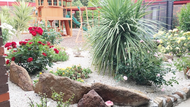 A garden with a wooden play structure, large rocks, and various plants.