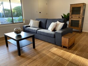 TV, fireplace, DVD player, books