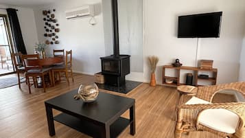 Televisor, llar de foc, reproductor de DVD i llibres