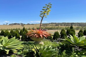 Property grounds - Luxury hotels set in a historic property, wineries, rural setting with views (Leconfield)