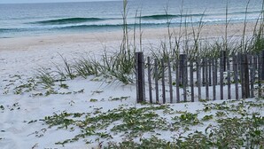 Una playa con una valla de madera y vegetaci ón escasa.