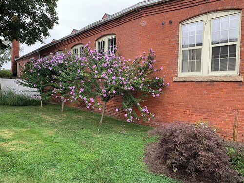 Exceptional location footsteps to beautiful downtown Mystic w/private driveway