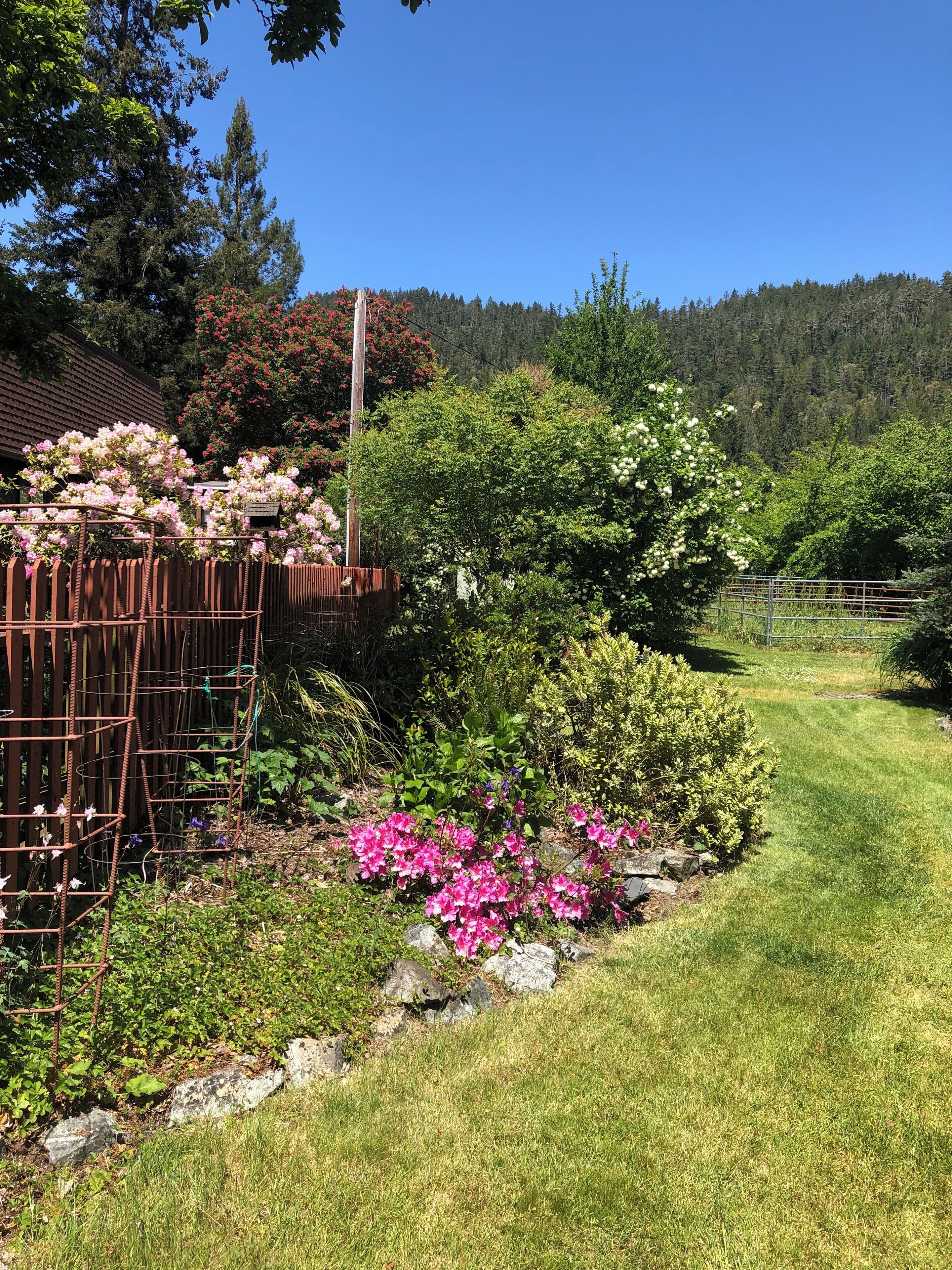 A garden with a variety of plants and flowers, a wooden fence, and a clear blue sky.