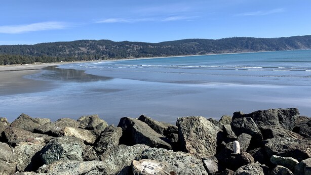 A rocky shoreline with a clear view of the ocean and distant forested hills.