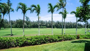 Ein gepflegter Golfplatz mit deutlicher Wegeführung, Palmen und einer Hecke im Vordergrund.