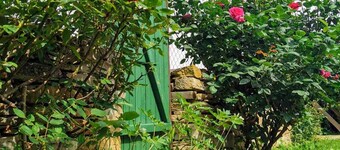 1-Bed Cottage Sleeps 4 - Pets Welcome