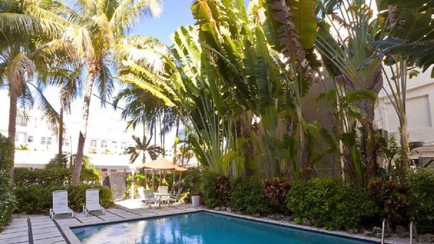 Une piscine avec des chaises longues et des palmiers.