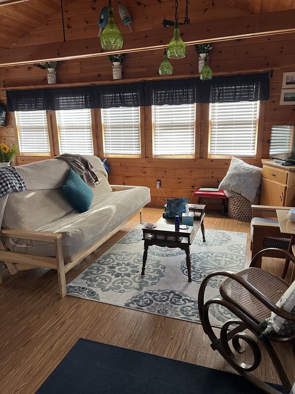 Smart TV, DVD player, books