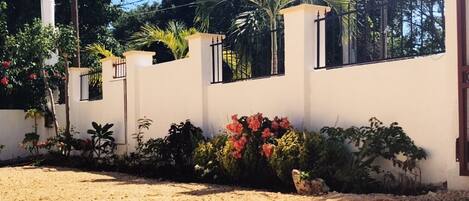A white wall with a gated entrance, surrounded by various plants and flowers.